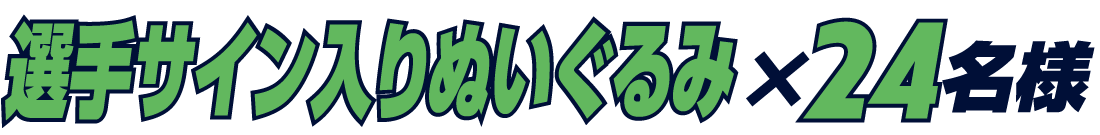 選手サイン入りぬいぐるみ×24名